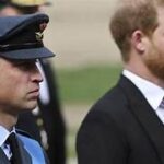 Prinz Harry Strebt Versöhnung mit der Königsfamilie an Trotz Sicherheitsstreit